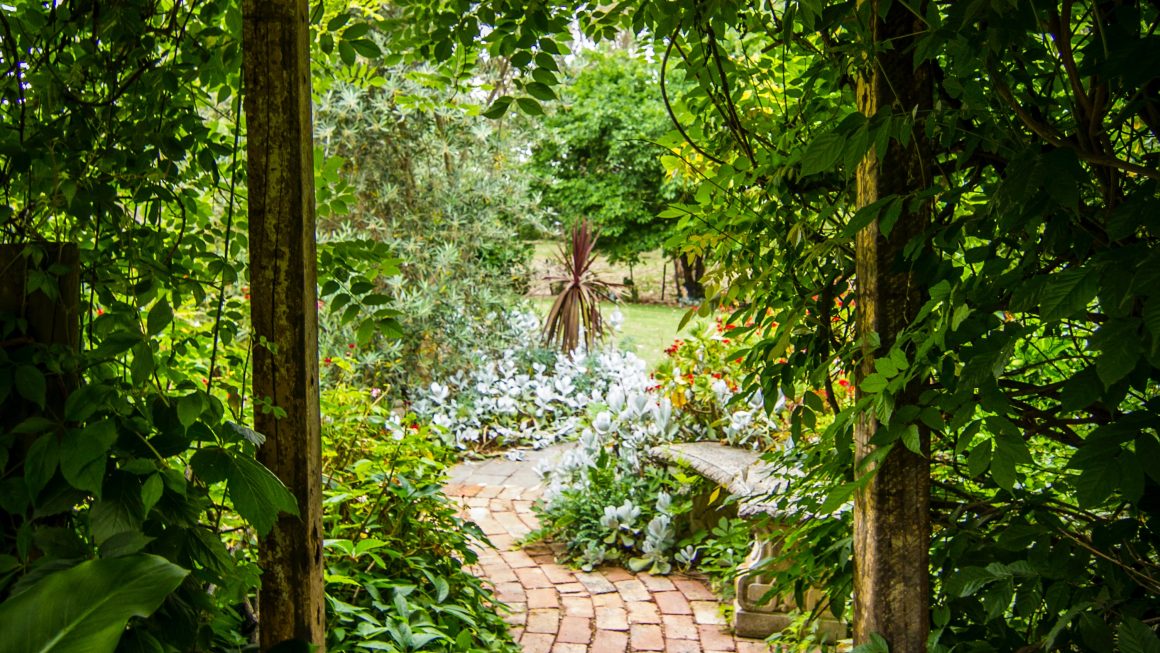 aménager petit jardin