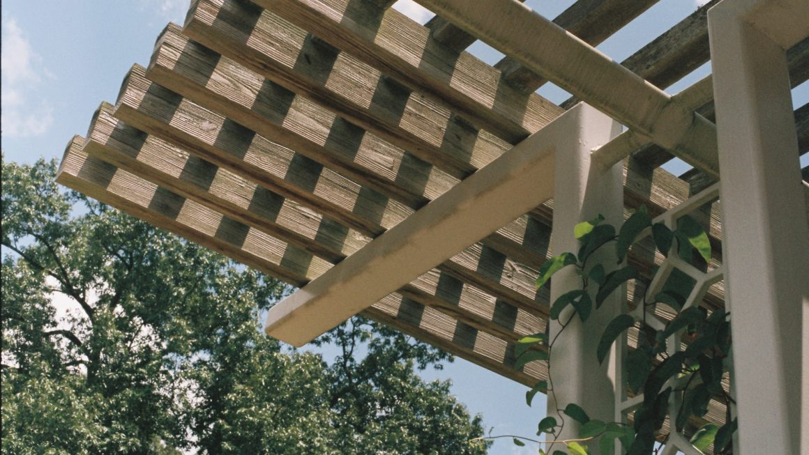 pergola tendance